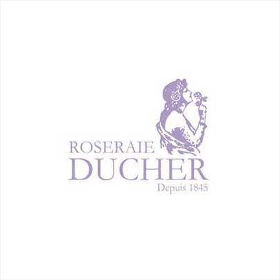 Roseraie Ducher